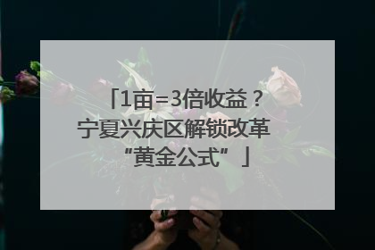 1亩=3倍收益？宁夏兴庆区解锁改革“黄金公式”
